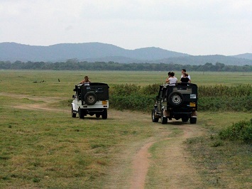 Minneriya National Park